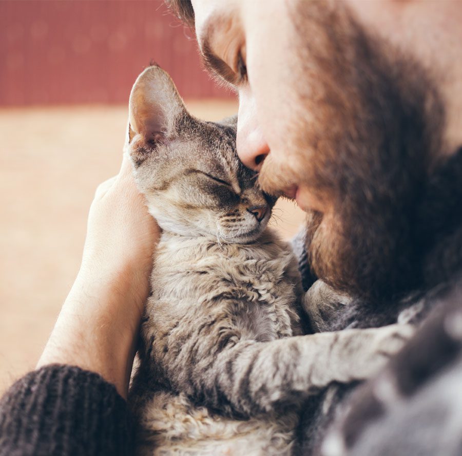 Homepage - Man Cuddling with His Cat at Home