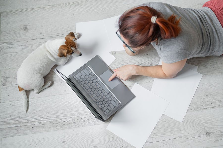 Pet Business Insurance - Dog Watching Woman as She Works on Her Laptop at Home