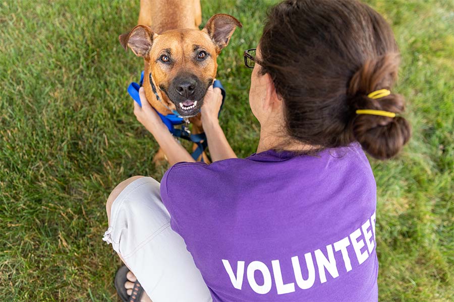Non-Profit Insurance - Animal Shelter Volunteer Playing with a Happy Dog Outside in the Grass
